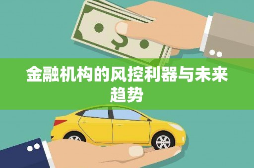 诏安金融机构的风控利器与未来趋势