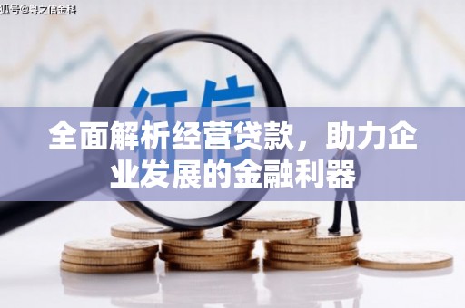 诏安全面解析经营贷款，助力企业发展的金融利器