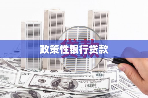 诏安政策性银行贷款