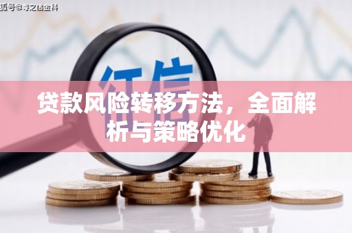 诏安贷款风险转移方法，全面解析与策略优化