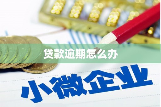 诏安贷款逾期怎么办