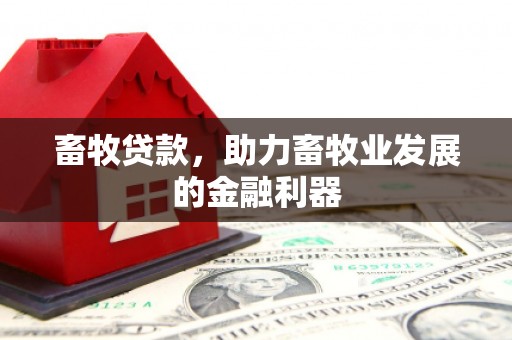 诏安畜牧贷款，助力畜牧业发展的金融利器