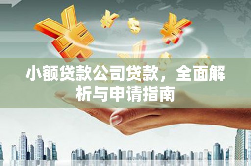 诏安小额贷款公司贷款，全面解析与申请指南