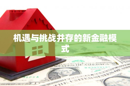诏安机遇与挑战并存的新金融模式