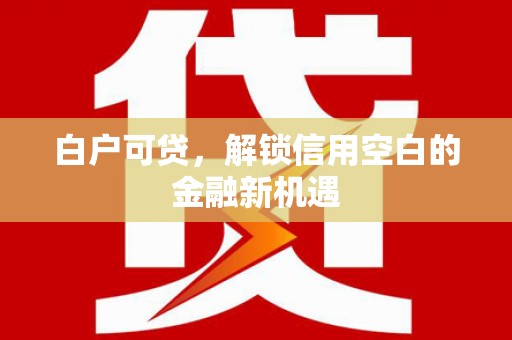 诏安白户可贷，解锁信用空白的金融新机遇