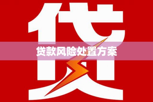 诏安贷款风险处置方案