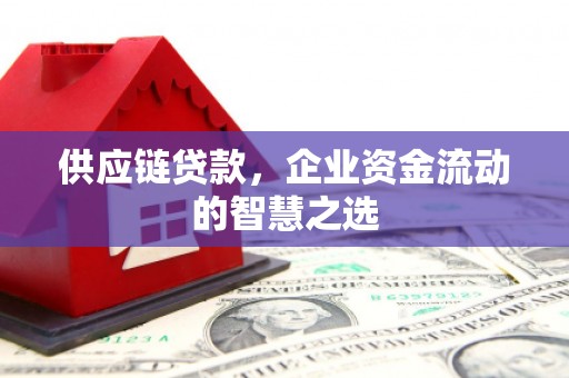 诏安供应链贷款，企业资金流动的智慧之选