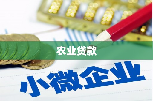 诏安农业贷款
