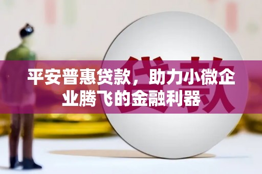 诏安平安普惠贷款，助力小微企业腾飞的金融利器