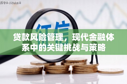 诏安贷款风险管理，现代金融体系中的关键挑战与策略