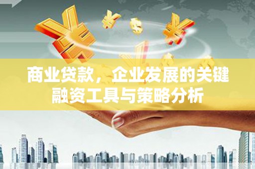 诏安商业贷款，企业发展的关键融资工具与策略分析