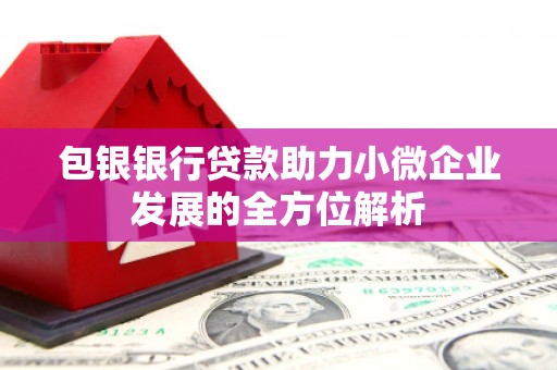 诏安包银银行贷款助力小微企业发展的全方位解析