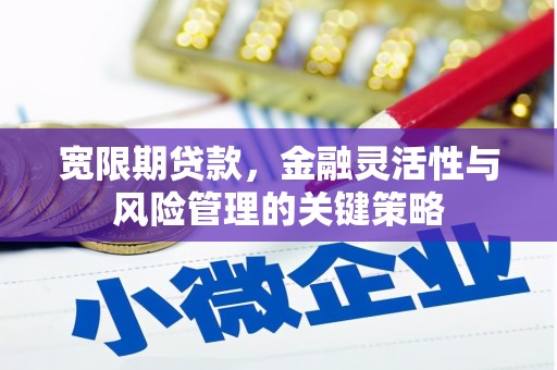 诏安宽限期贷款，金融灵活性与风险管理的关键策略