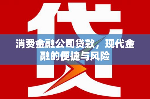 诏安消费金融公司贷款，现代金融的便捷与风险