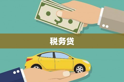 诏安税务贷