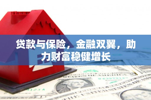 诏安贷款与保险，金融双翼，助力财富稳健增长