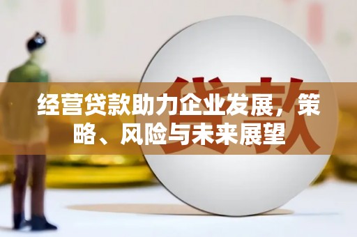 诏安经营贷款助力企业发展，策略、风险与未来展望