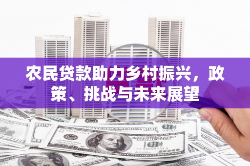 诏安农民贷款助力乡村振兴，政策、挑战与未来展望