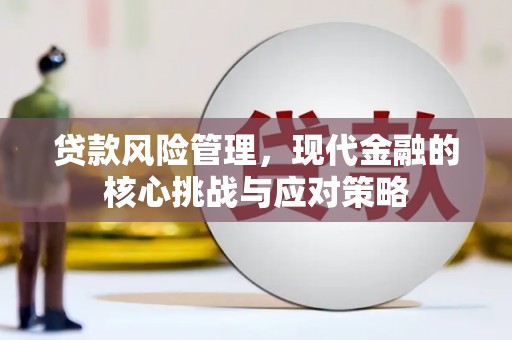 诏安贷款风险管理，现代金融的核心挑战与应对策略