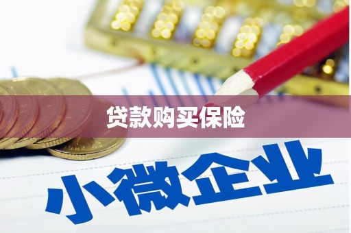 诏安贷款购买保险
