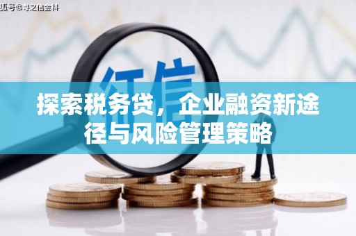 诏安探索税务贷，企业融资新途径与风险管理策略