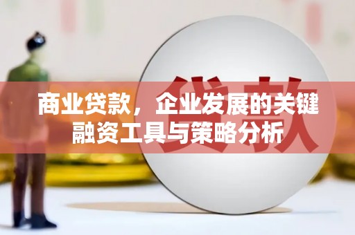 诏安商业贷款，企业发展的关键融资工具与策略分析
