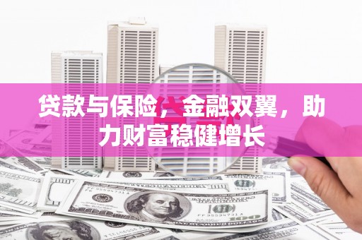 诏安贷款与保险，金融双翼，助力财富稳健增长