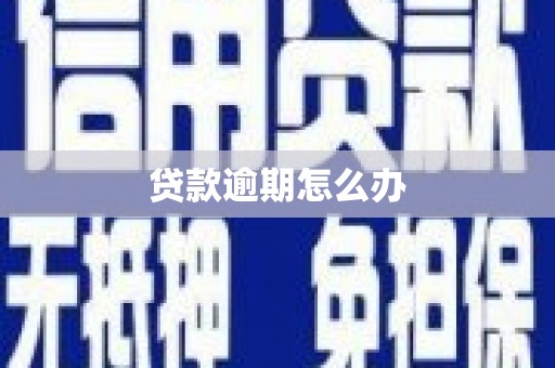 诏安贷款逾期怎么办