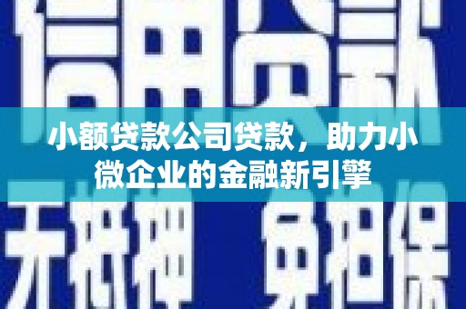 诏安小额贷款公司贷款，助力小微企业的金融新引擎