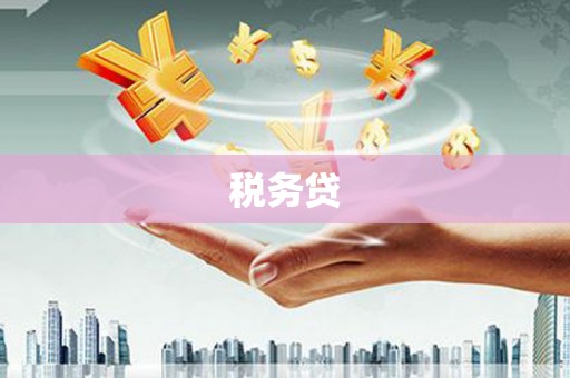 诏安税务贷
