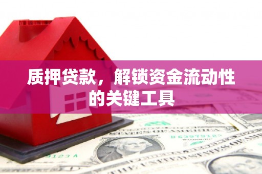 诏安质押贷款，解锁资金流动性的关键工具