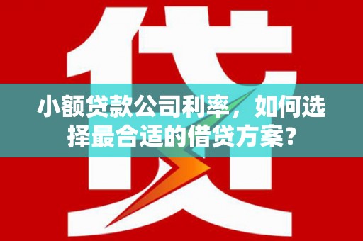 诏安小额贷款公司利率，如何选择最合适的借贷方案？