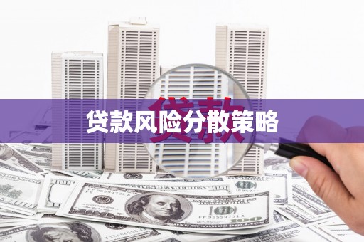 诏安贷款风险分散策略