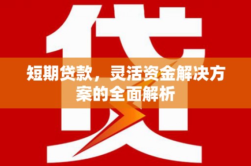 诏安短期贷款，灵活资金解决方案的全面解析