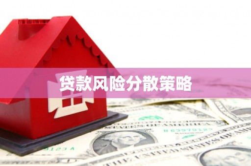 诏安贷款风险分散策略