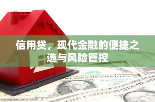 诏安信用贷，现代金融的便捷之选与风险管控