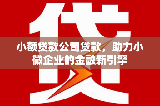诏安小额贷款公司贷款，助力小微企业的金融新引擎