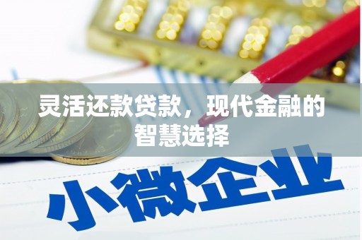 诏安灵活还款贷款，现代金融的智慧选择
