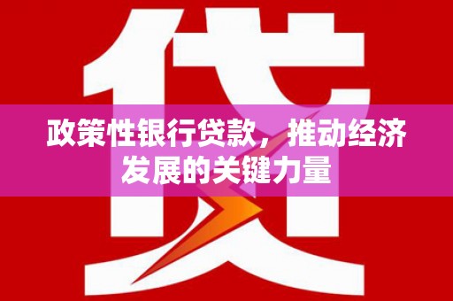 诏安政策性银行贷款，推动经济发展的关键力量