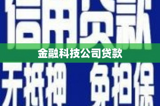 诏安金融科技公司贷款