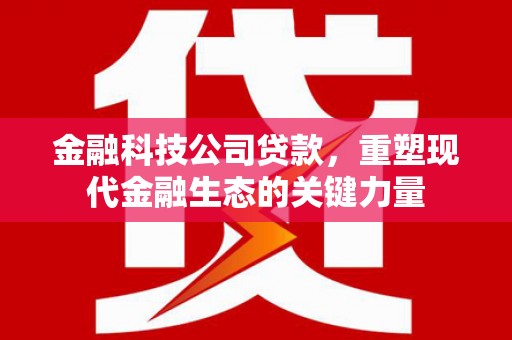 诏安金融科技公司贷款，重塑现代金融生态的关键力量