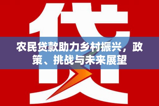 诏安农民贷款助力乡村振兴，政策、挑战与未来展望