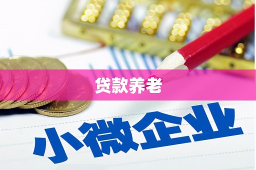 诏安贷款养老