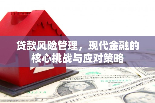 诏安贷款风险管理，现代金融的核心挑战与应对策略