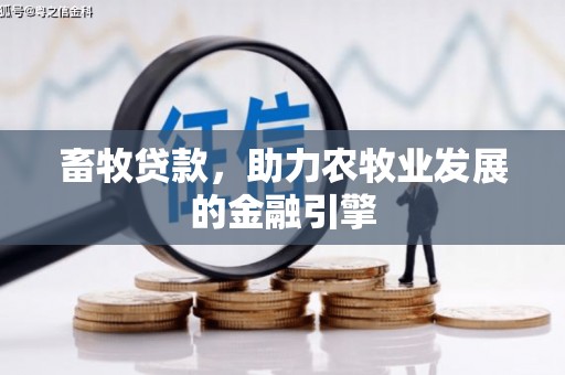 诏安畜牧贷款，助力农牧业发展的金融引擎