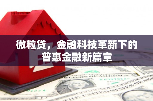 诏安微粒贷，金融科技革新下的普惠金融新篇章