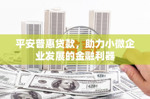 诏安平安普惠贷款，助力小微企业发展的金融利器