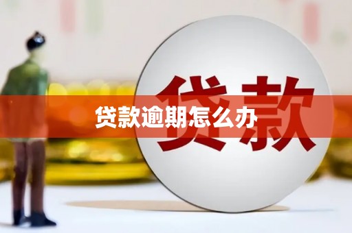 诏安贷款逾期怎么办