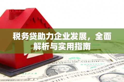 诏安税务贷助力企业发展，全面解析与实用指南