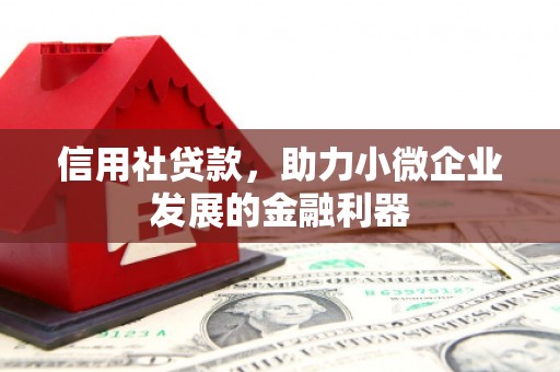 诏安信用社贷款，助力小微企业发展的金融利器